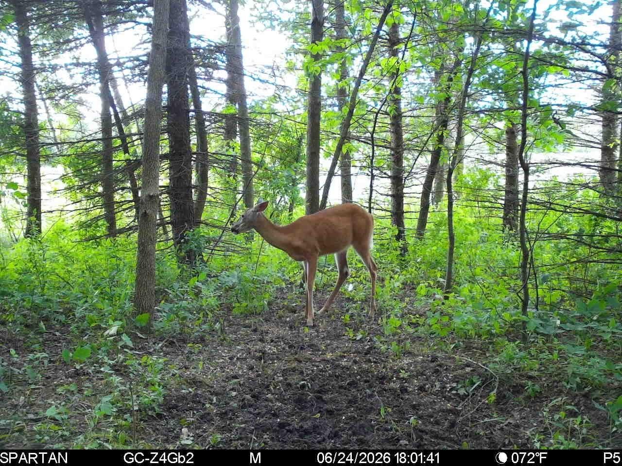 Tbd Base Line Road Northfield, MN 55057 - Photo 22 of 51