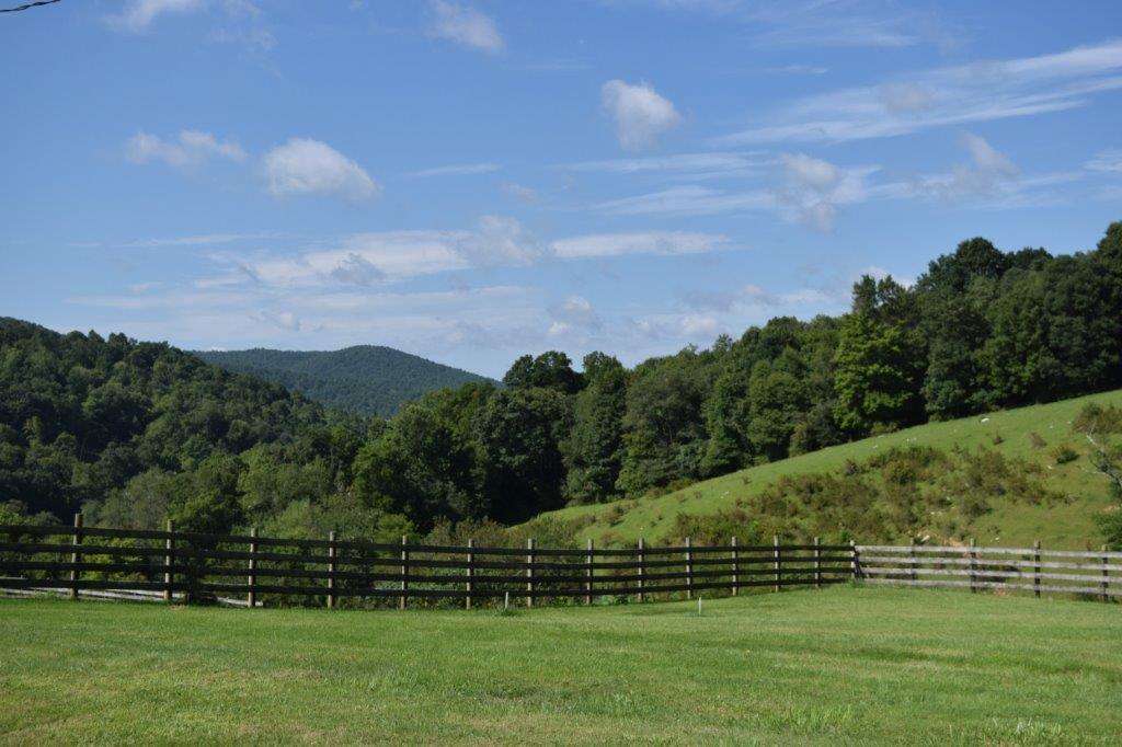 272 Boone Road Southwest Willis, VA 24380 - Photo 21 of 21 DSC_0966