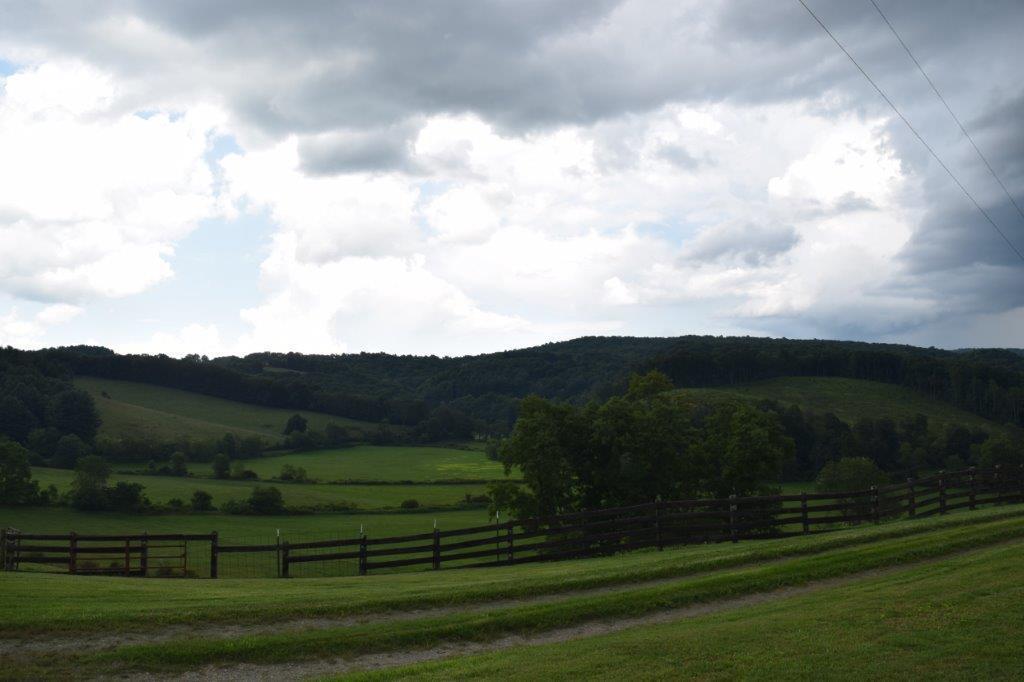 272 Boone Road Southwest Willis, VA 24380 - Photo 6 of 21 DSC_0943
