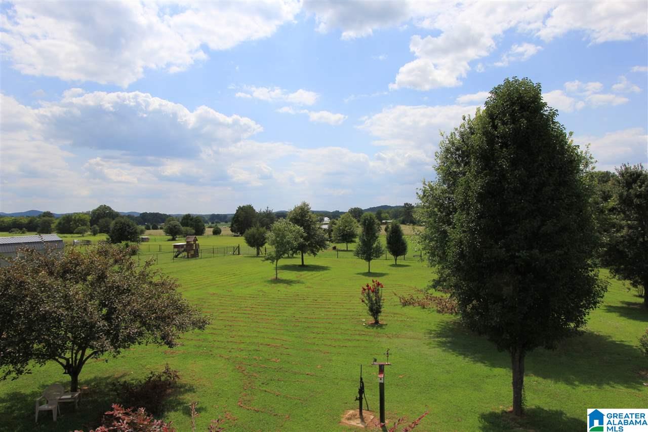 2540 Cedars Road Munford, AL 36268 - Photo 15 of 50