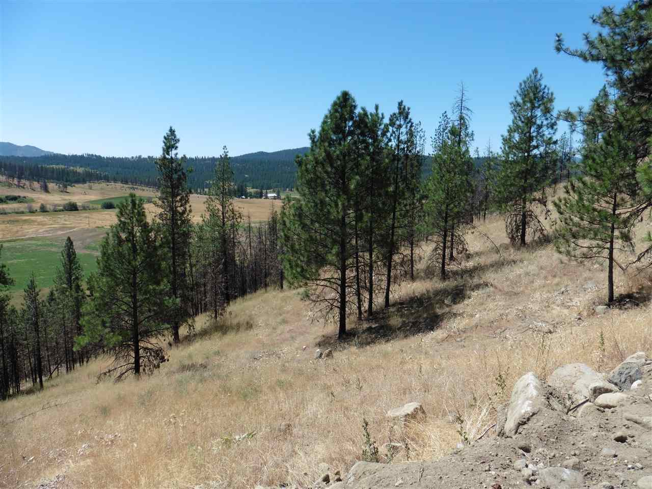 6045 A Carpenter Road Fruitland, WA 99129 - Photo 1 of 15 Gallery Image 1