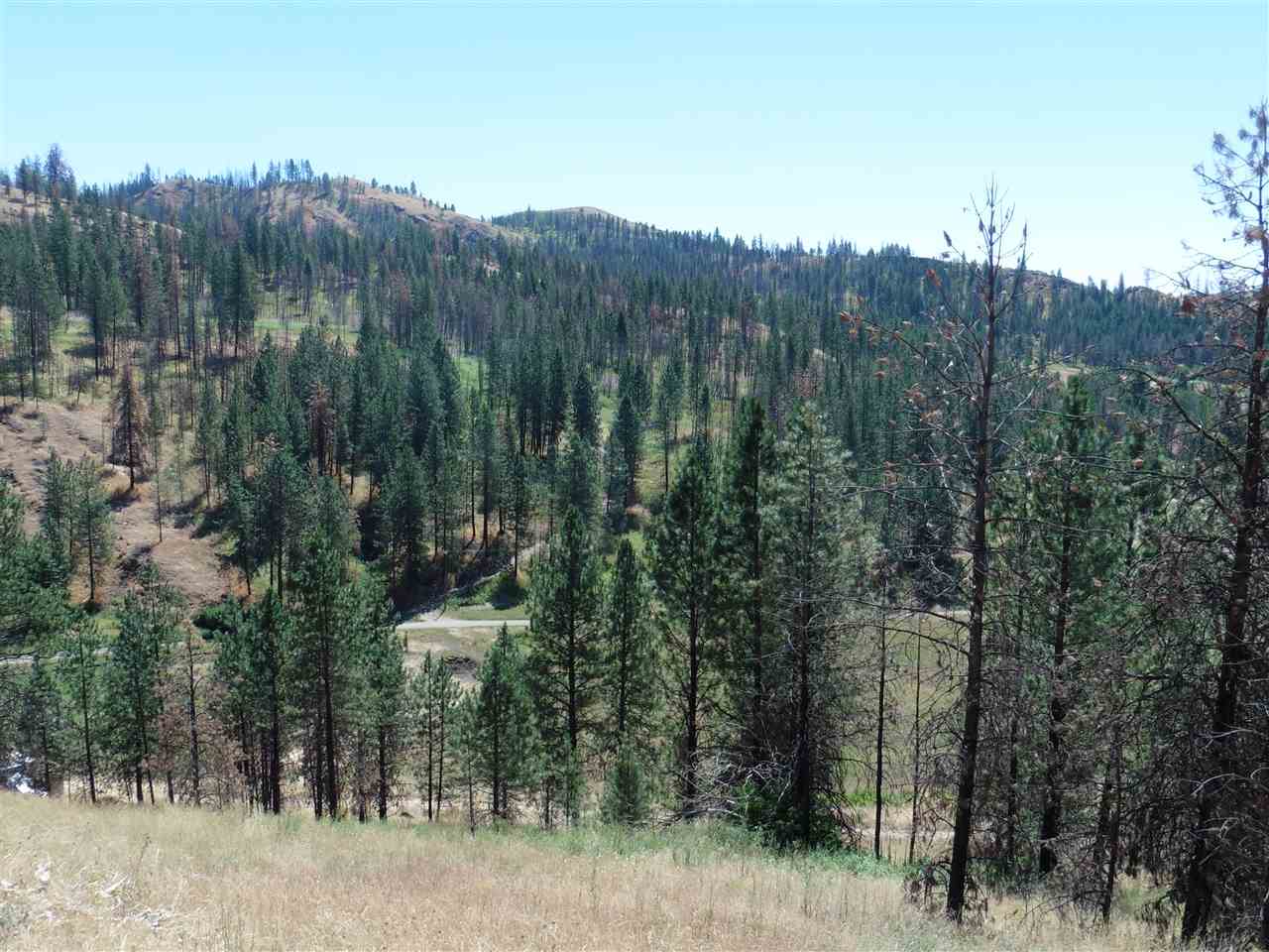 6045 A Carpenter Road Fruitland, WA 99129 - Photo 2 of 15 Gallery Image 2