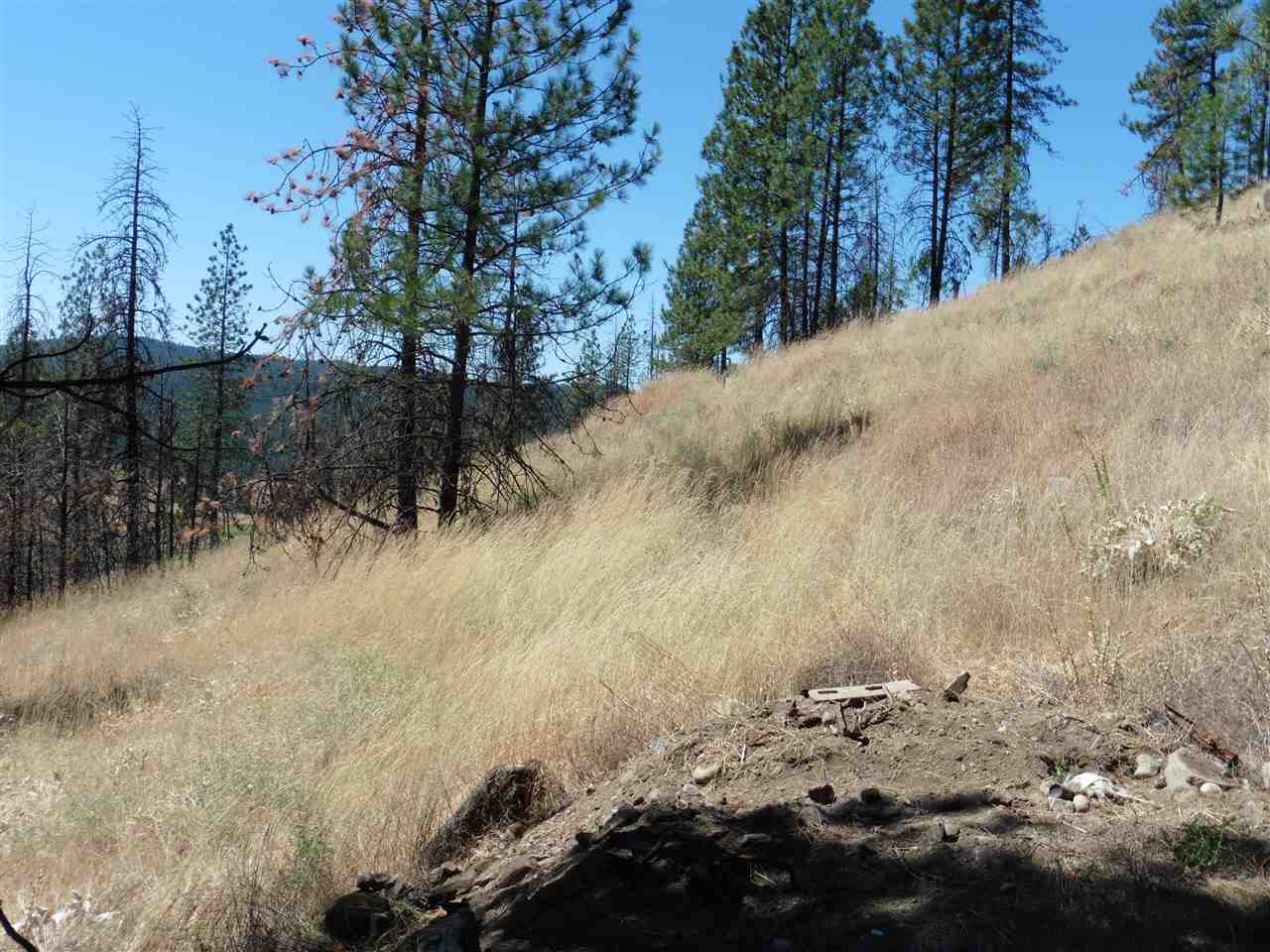 6045 A Carpenter Road Fruitland, WA 99129 - Photo 13 of 15 Gallery Image 13