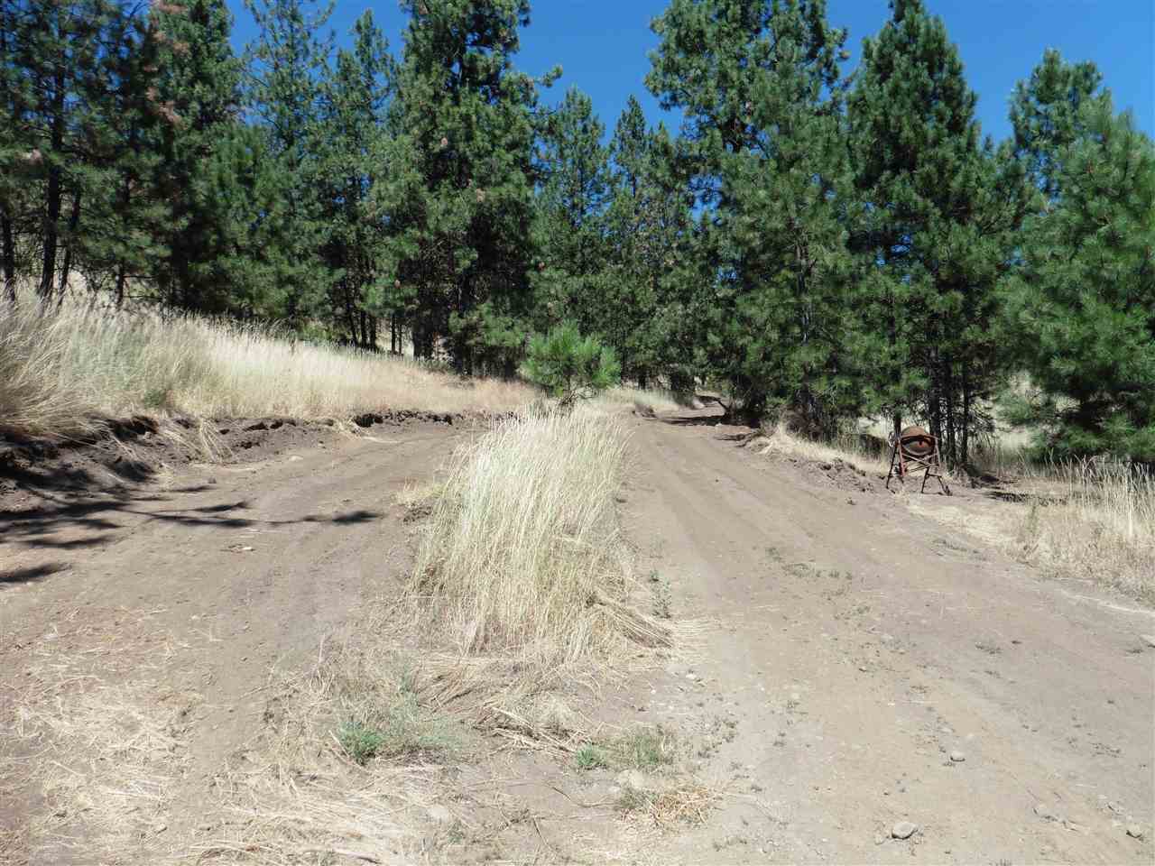 6045 A Carpenter Road Fruitland, WA 99129 - Photo 5 of 15 Gallery Image 5