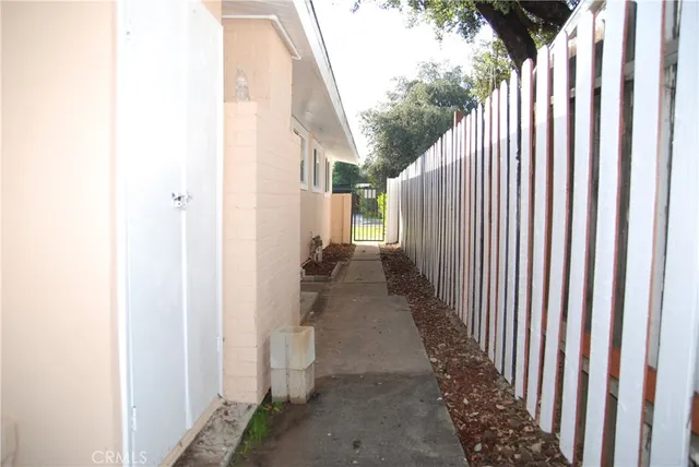 a view of a backyard with plants and palm tree