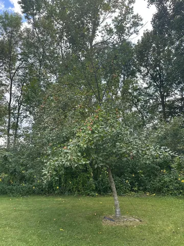 $399,990 | 1657 Shady Lane, Mora, MN 55051