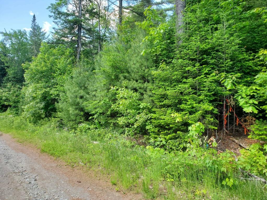 R7-l 4-6 North Pond Road Chesterville, ME 04938 - Photo 18 of 19 received_645941209211938MLS