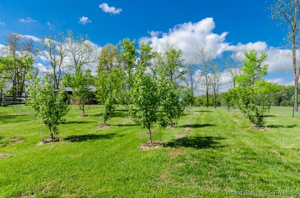 4387 West Cole Road Salem, IN 47167 - Photo 42 of 52 Gallery Image 42
