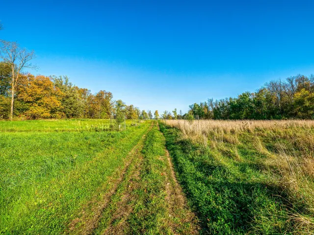 $550,000 | 2233 Great Divide Road Northwest, Puposky, MN 56667