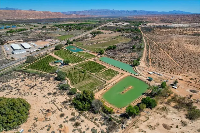 $981,950 | 1065 South Moapa Valley Boulevard, Overton, NV 89040