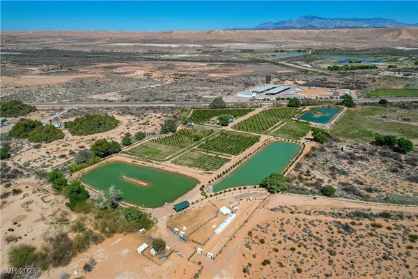 $981,950 | 1065 South Moapa Valley Boulevard, Overton, NV 89040