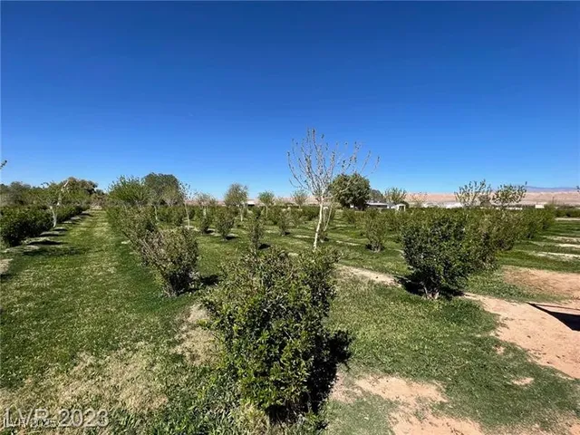 $981,950 | 1065 South Moapa Valley Boulevard, Overton, NV 89040