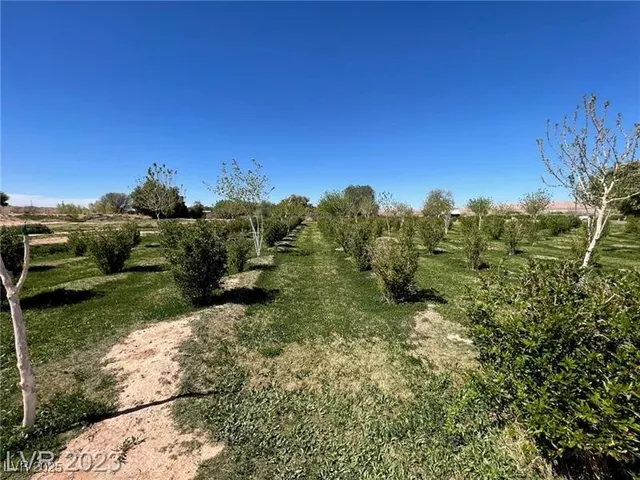 $981,950 | 1065 South Moapa Valley Boulevard, Overton, NV 89040