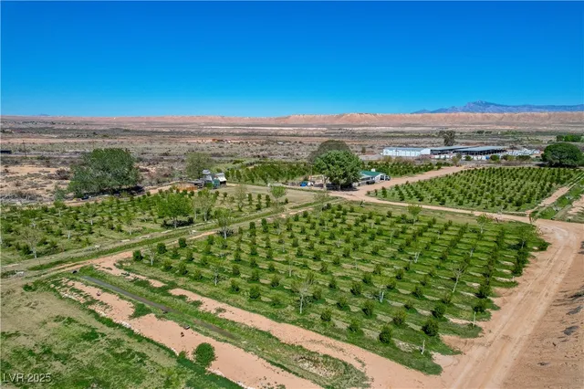 $981,950 | 1065 South Moapa Valley Boulevard, Overton, NV 89040