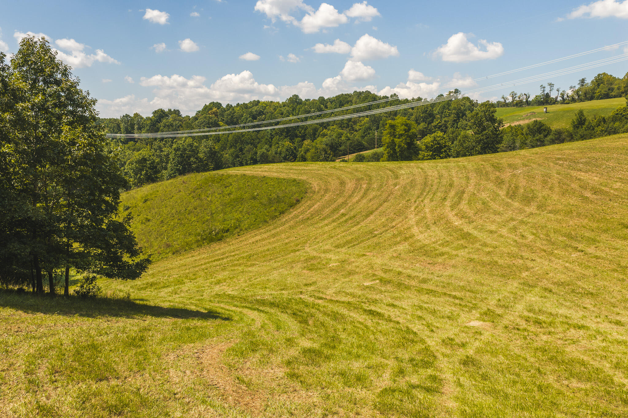 5902 Chestnut Ridge Road Riner, VA 24149 - Photo 27 of 50 DJI_20260903135040_0976_D