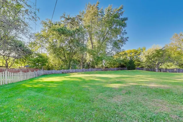 a view of a grassy field with trees