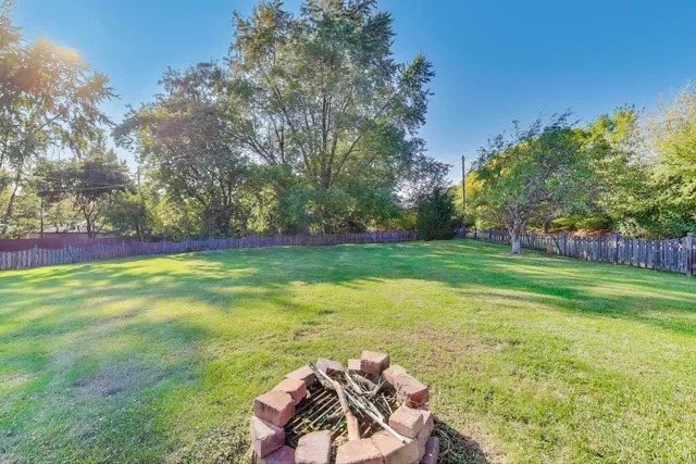 a view of a park with large trees