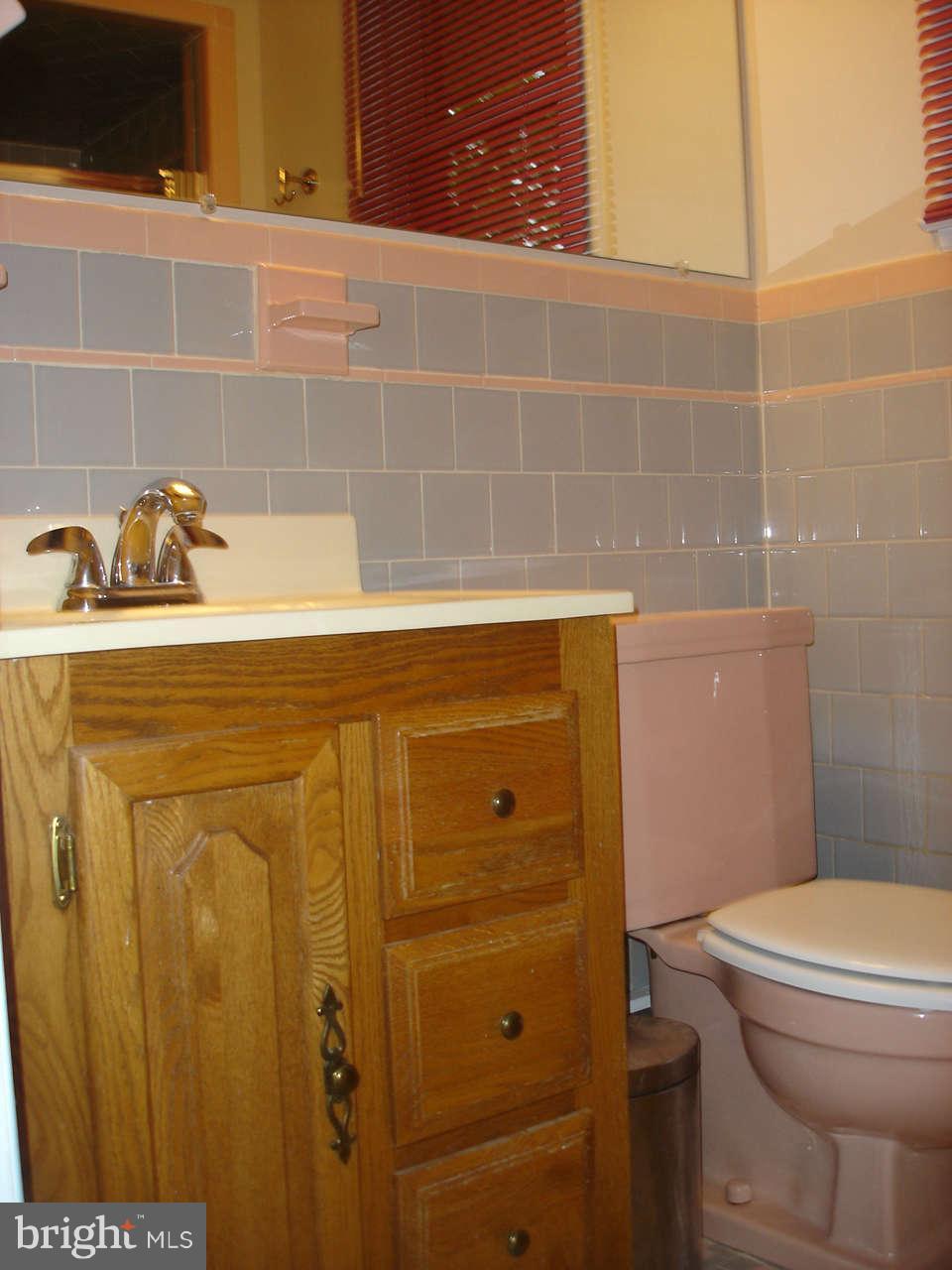 2529 McKenzie Road Ellicott City, MD 21042 - Photo 14 of 30 Bath (Master)
