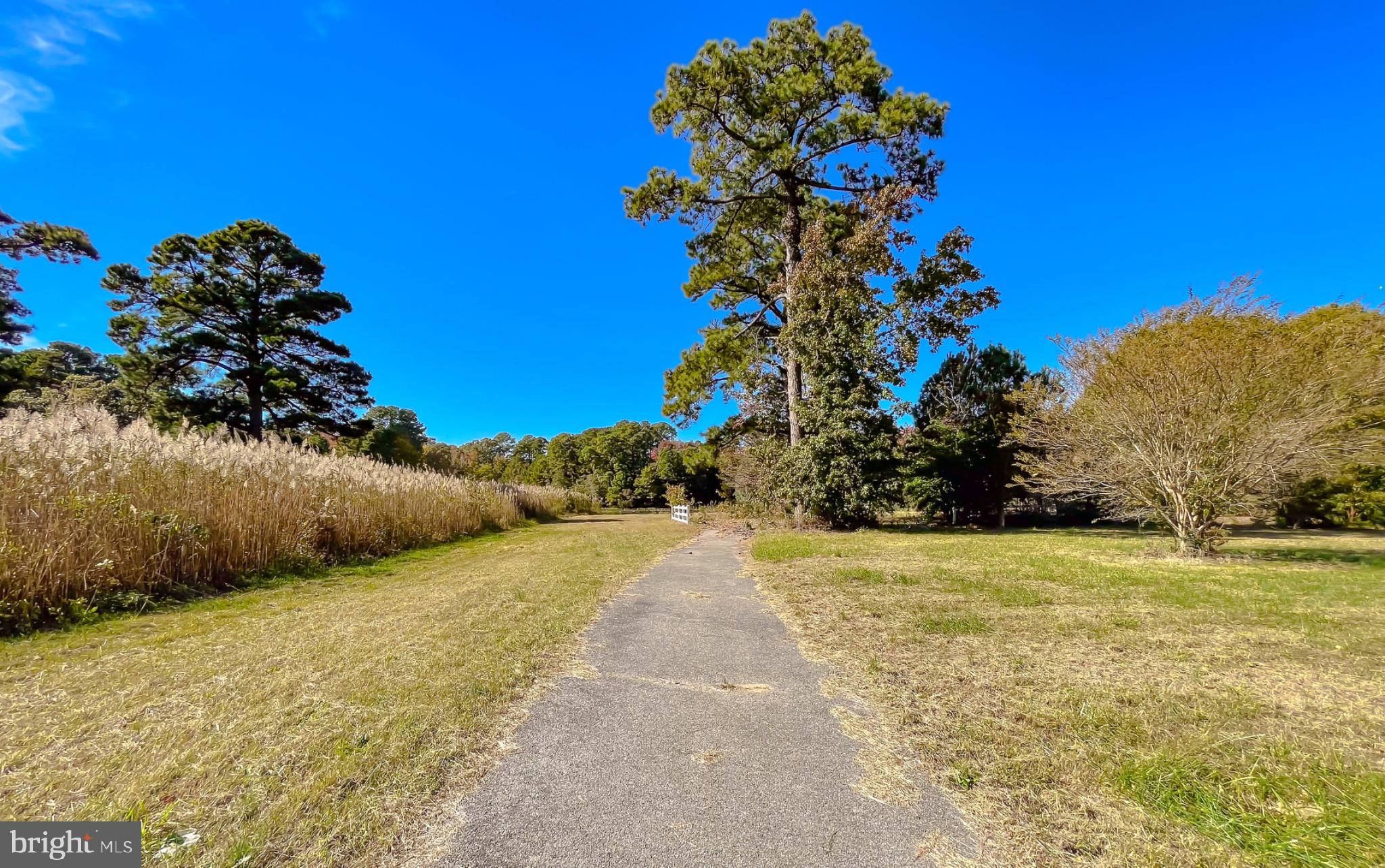 50645 Holly Point Road Dameron, MD 20628 - Photo 67 of 99