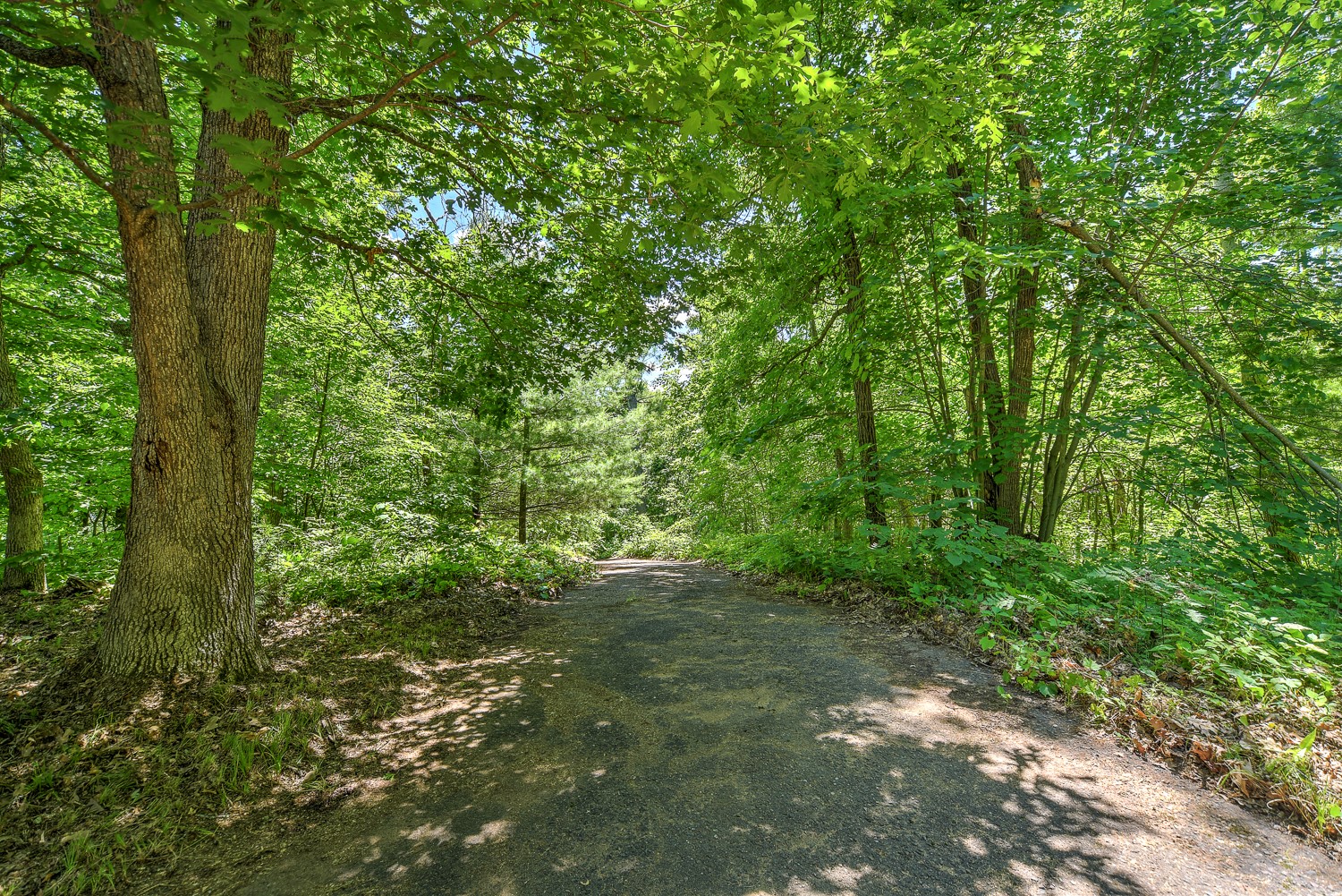 27722 Yellow Lake Road Webster, WI 54893 - Photo 30 of 35
