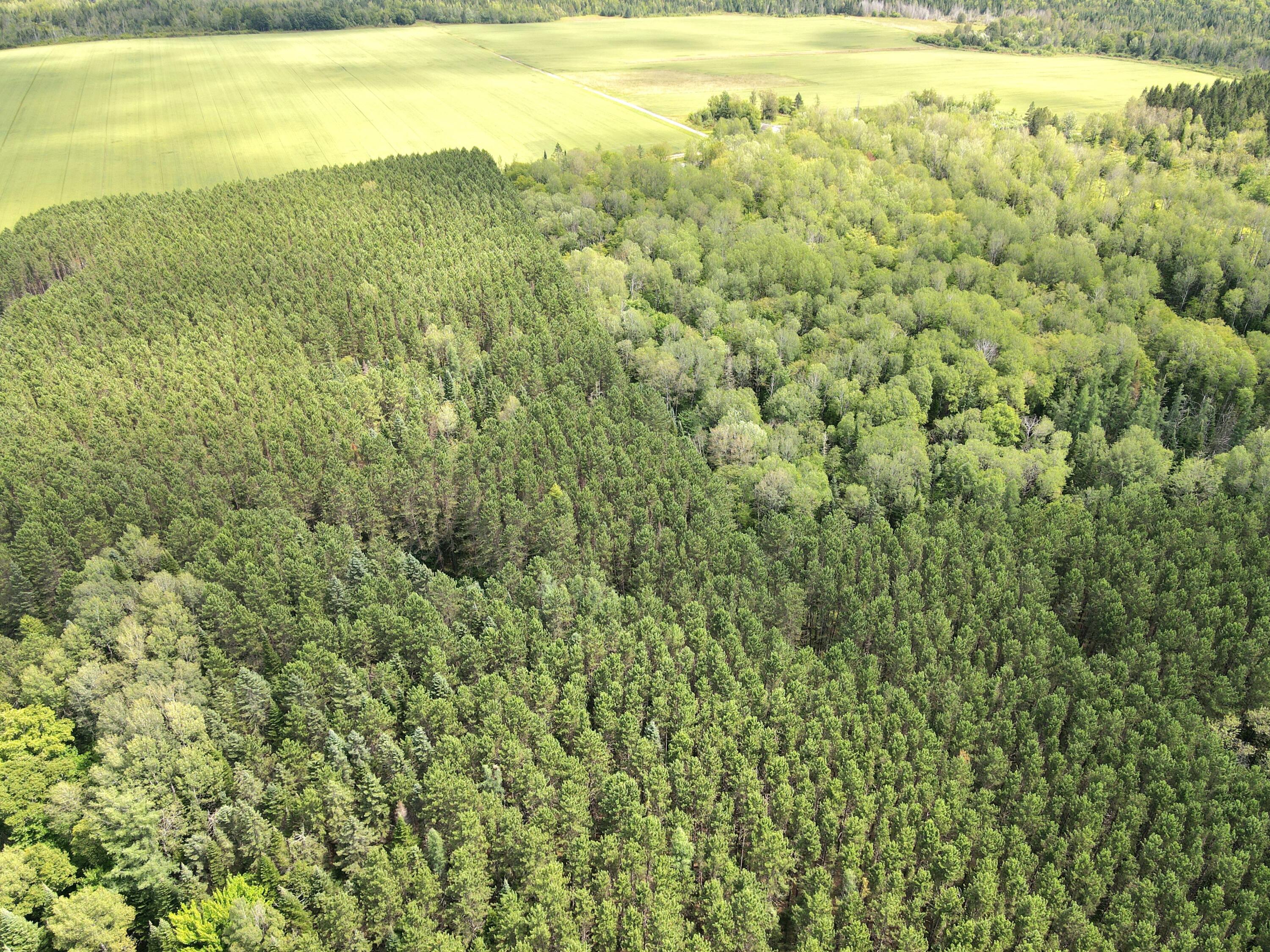Lot 55-56 West Gate Road Caribou, ME 04736 - Photo 7 of 8 dji_fly_20230802_132954_987_169099918327