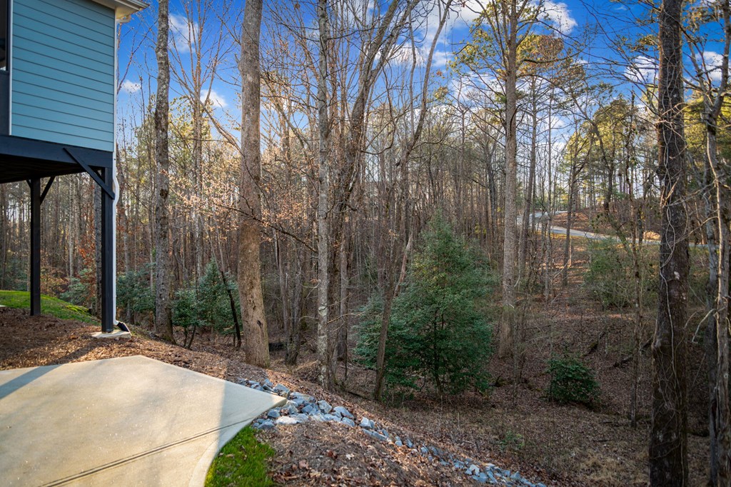 320 Bridge Road Ellijay, GA 30540 - Photo 74 of 100 Gallery Image 74