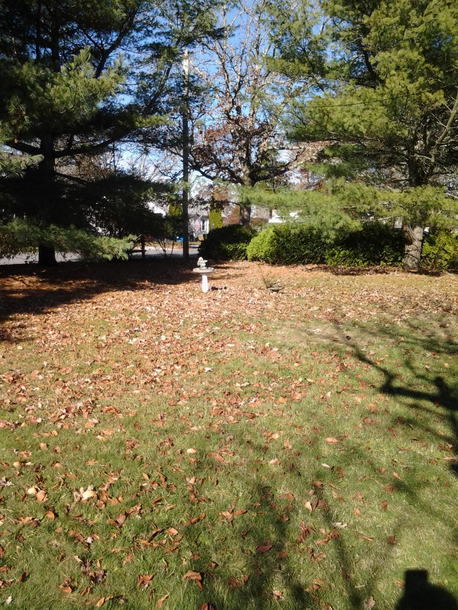 12 Walnut Street Hyannis, MA 02601 - Photo 15 of 19 wal yard 1-1