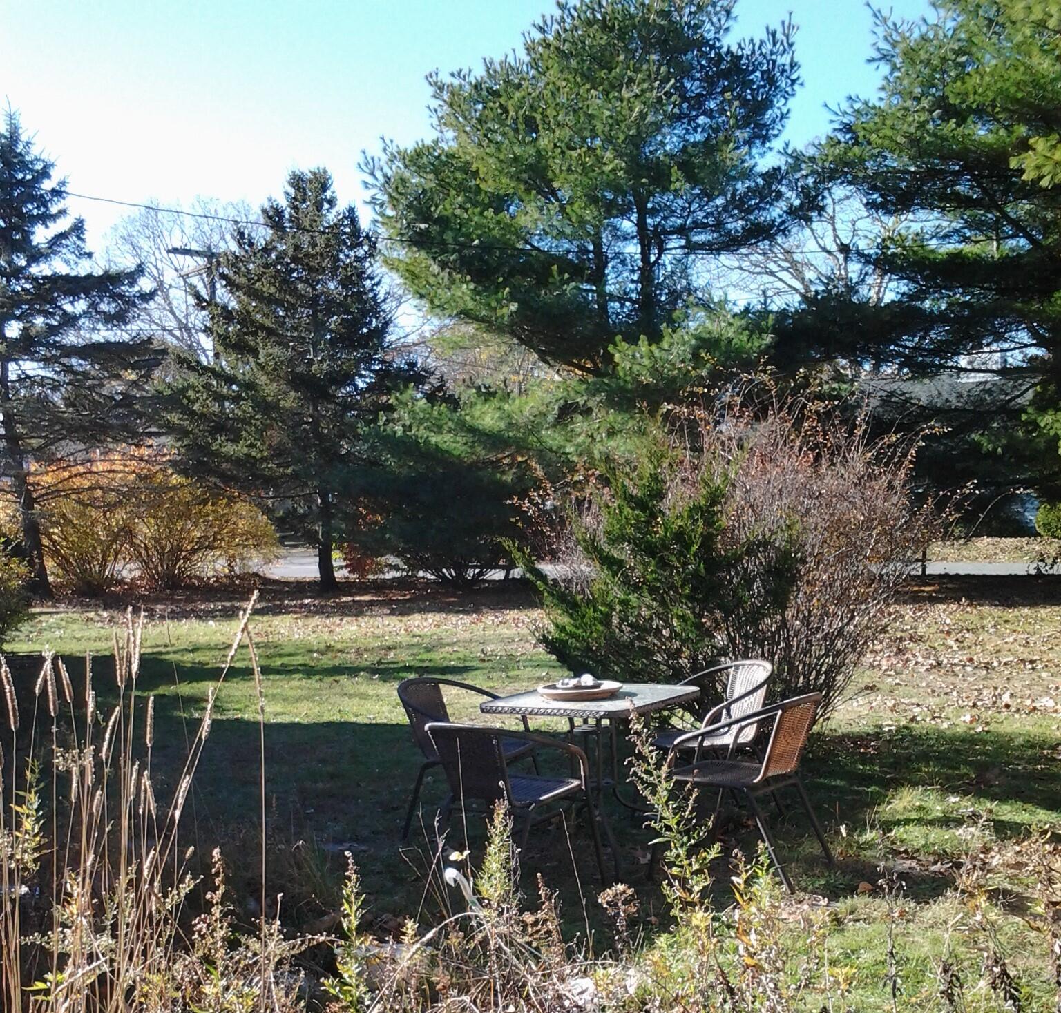 12 Walnut Street Hyannis, MA 02601 - Photo 16 of 19 wal yard 2