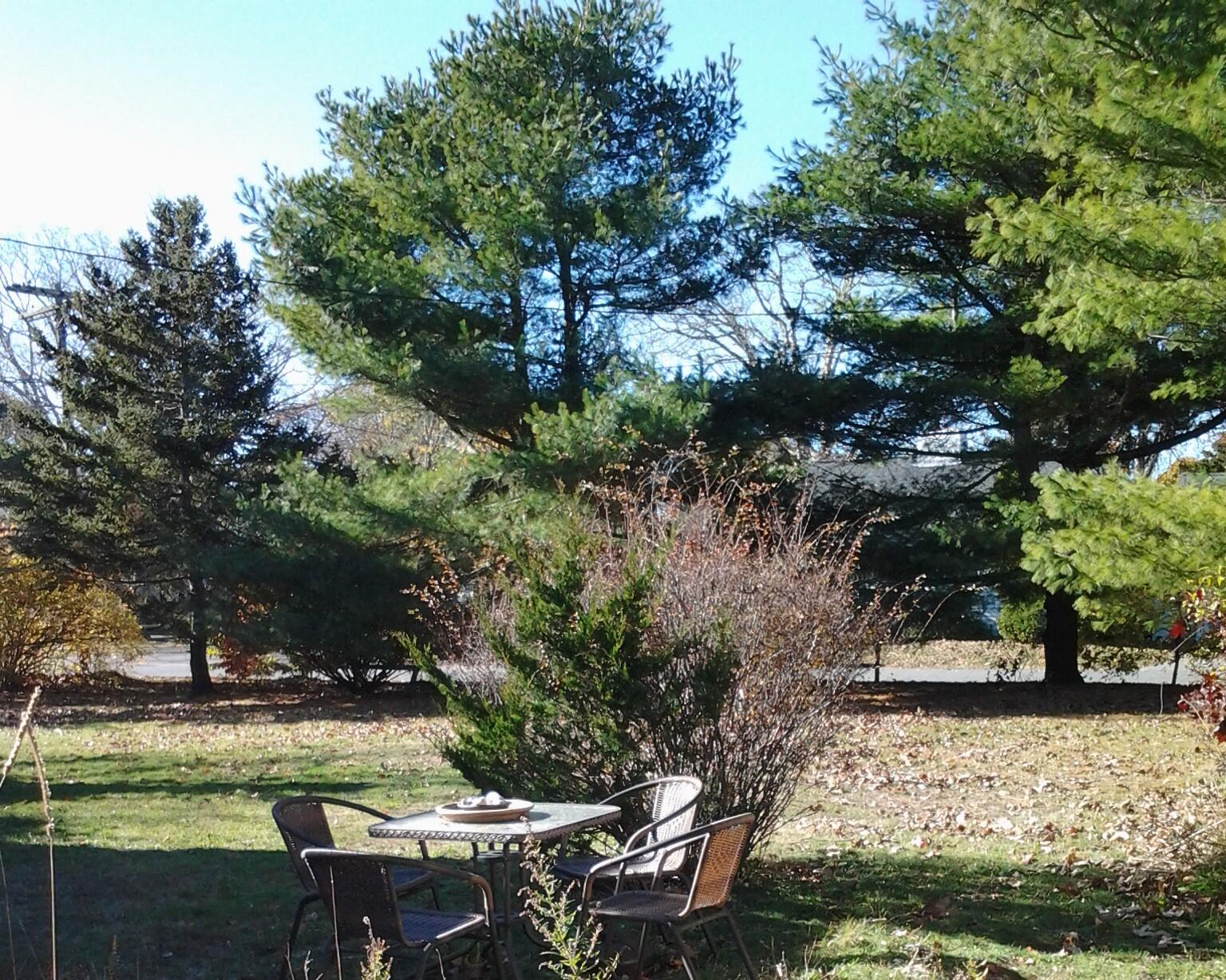 12 Walnut Street Hyannis, MA 02601 - Photo 17 of 19 wal yard