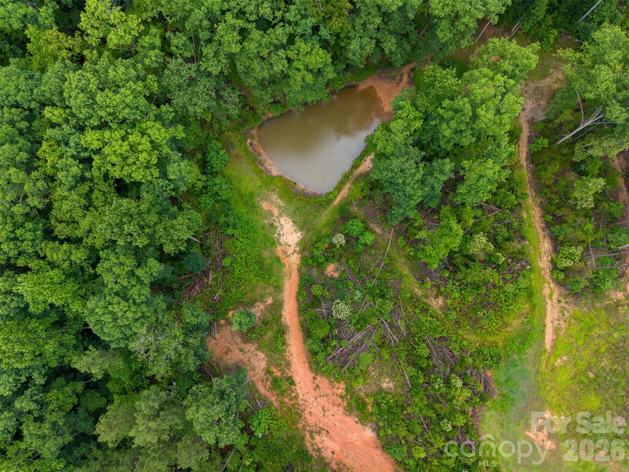 443 Polk County Line Road Rutherfordton, NC 28139 - Photo 25 of 31