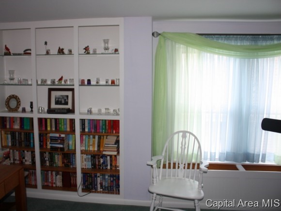 1448 North 3rd Street Springfield, IL 62702 - Photo 18 of 24