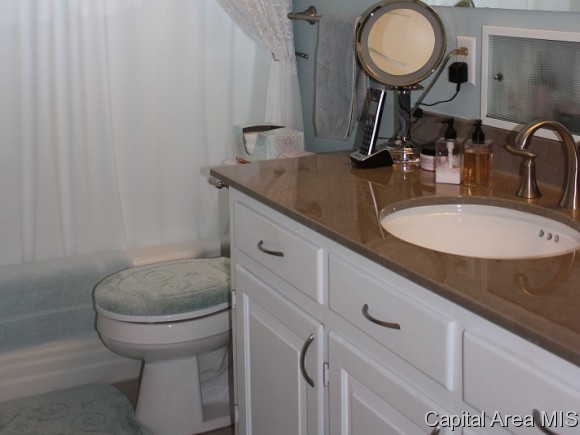 1448 North 3rd Street Springfield, IL 62702 - Photo 10 of 24