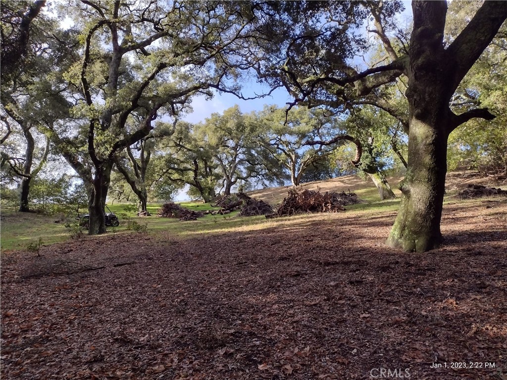 9500 Santa Rosa Creek Road Cambria, CA 93428 - Photo 23 of 33 Possible Home/RV/Camping site