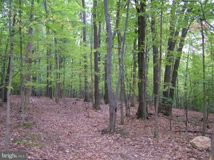 Stone Road Frederick, MD 21703 - Photo 2 of 8 Wooded View / Acreage