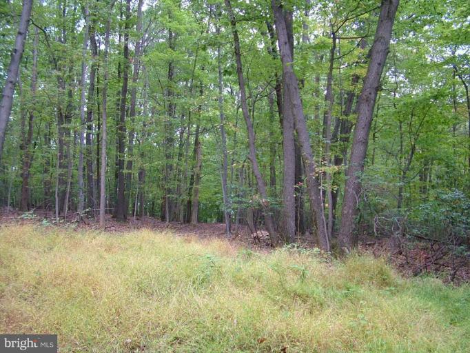 Stone Road Frederick, MD 21703 - Photo 5 of 8 Wooded View / Acreage 3