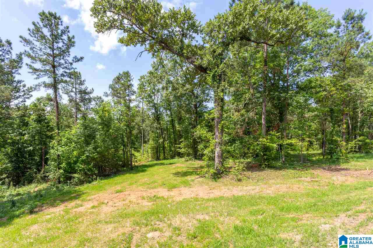 2170 Summit Park Road Odenville, AL 35120 - Photo 37 of 38