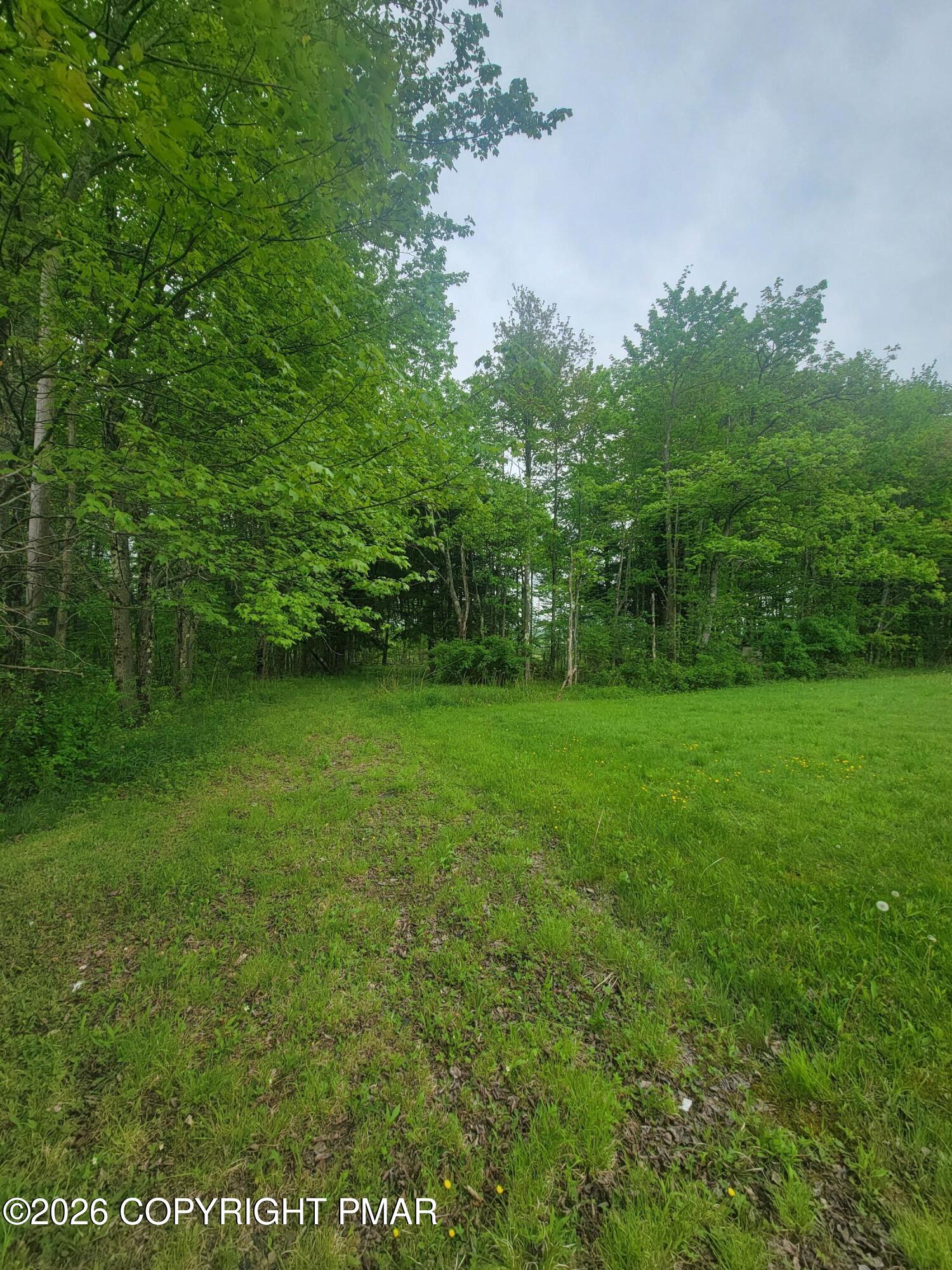 320 Hillside Street Forest City, PA 18421 - Photo 19 of 22 1000060931