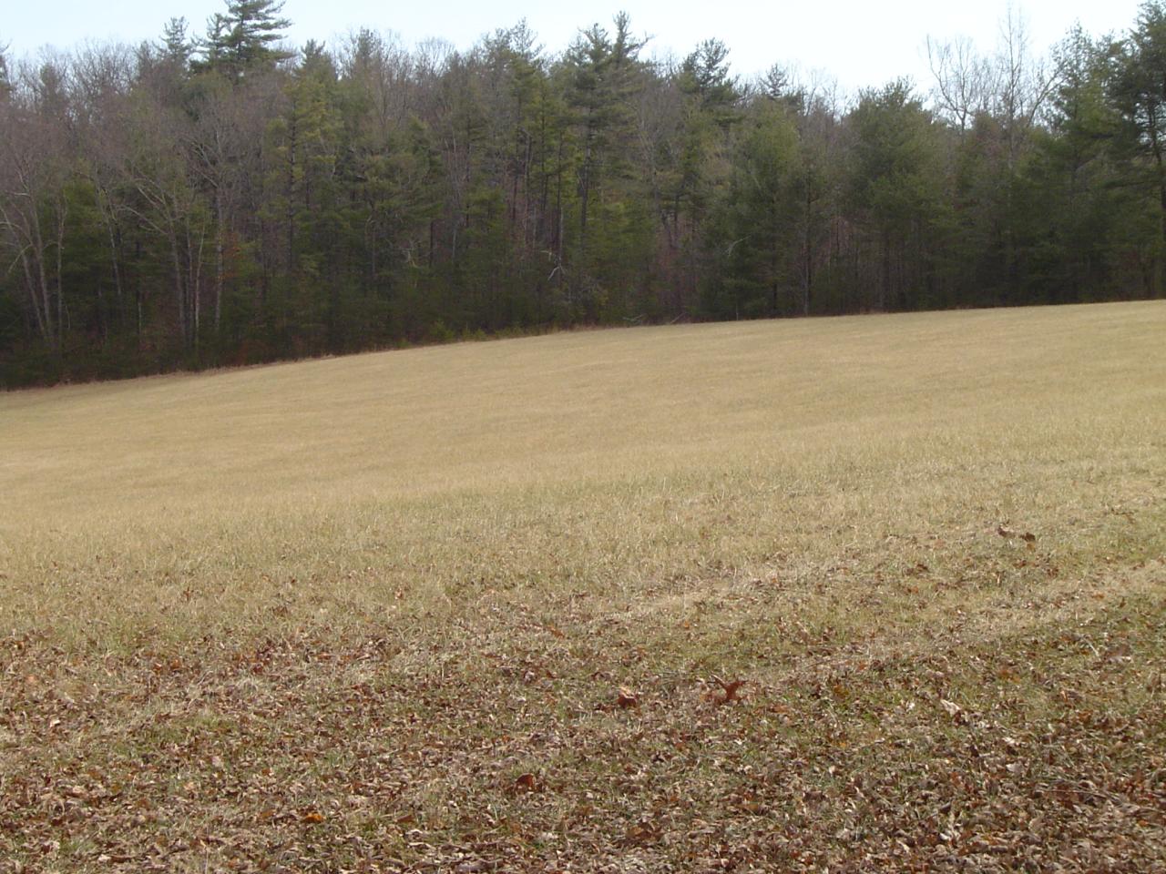 841 Horseshoe Point Road Henry, VA 24102 - Photo 8 of 12