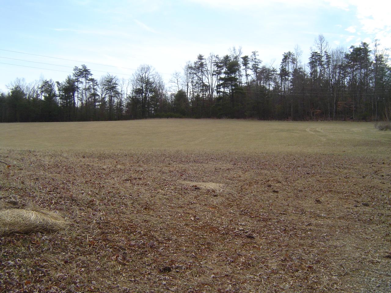 841 Horseshoe Point Road Henry, VA 24102 - Photo 9 of 12 a view of outdoor space and yard
