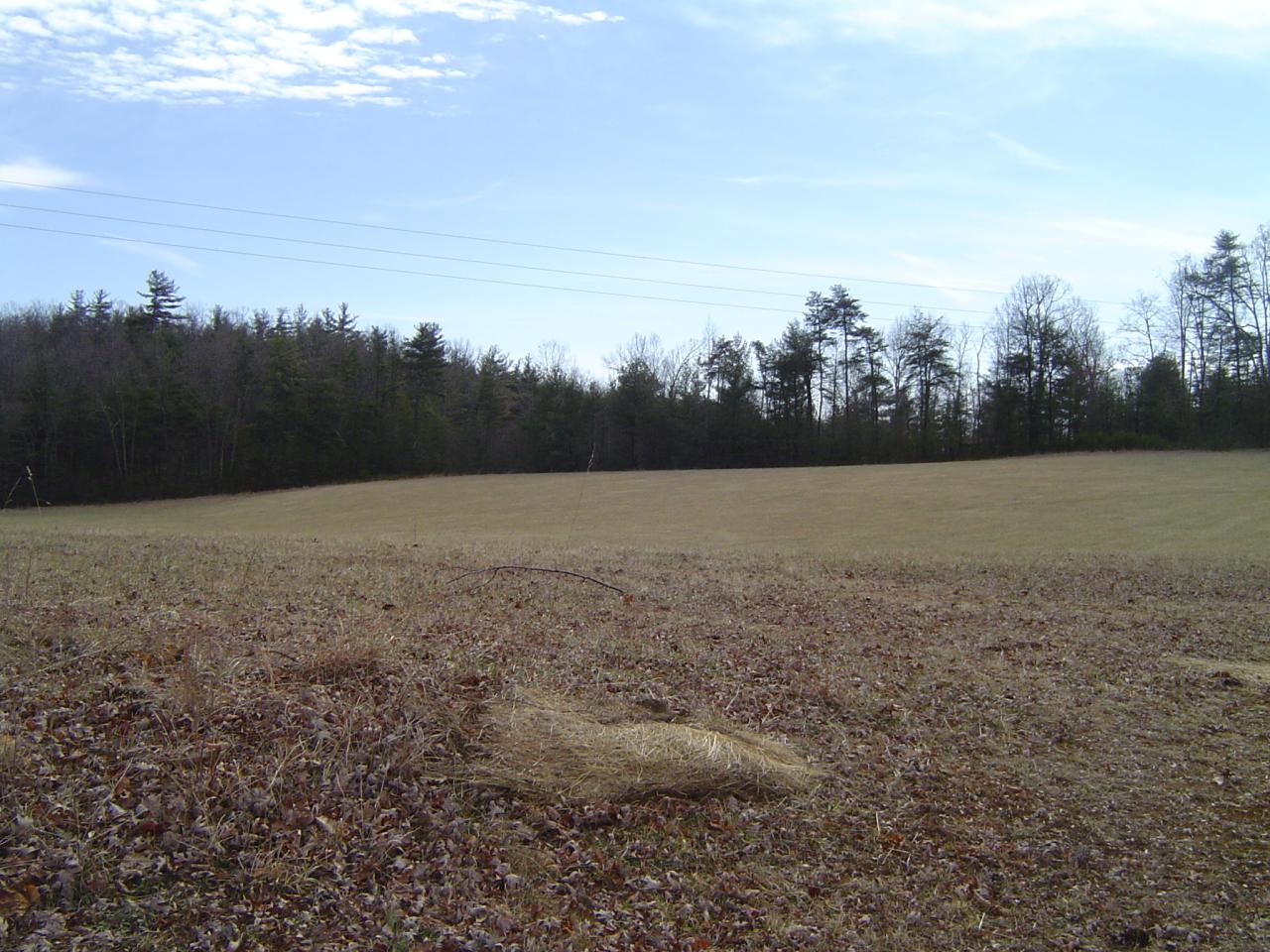 841 Horseshoe Point Road Henry, VA 24102 - Photo 10 of 12 a view of outdoor space