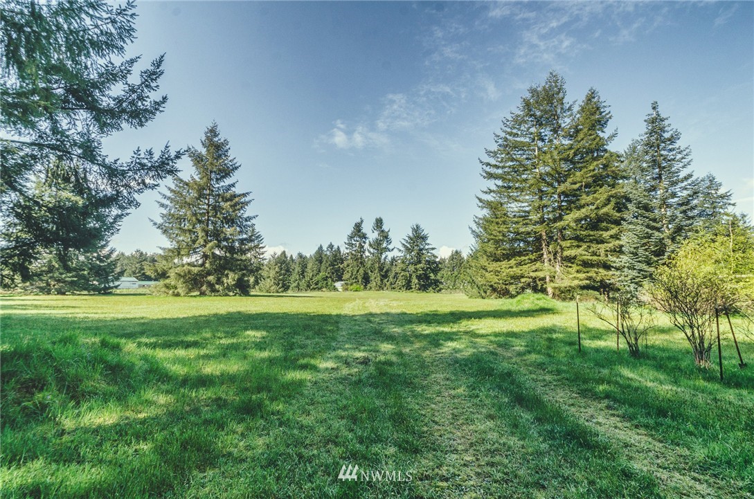 16823 Weaver Lane Southwest Rochester, WA 98579 - Photo 18 of 24