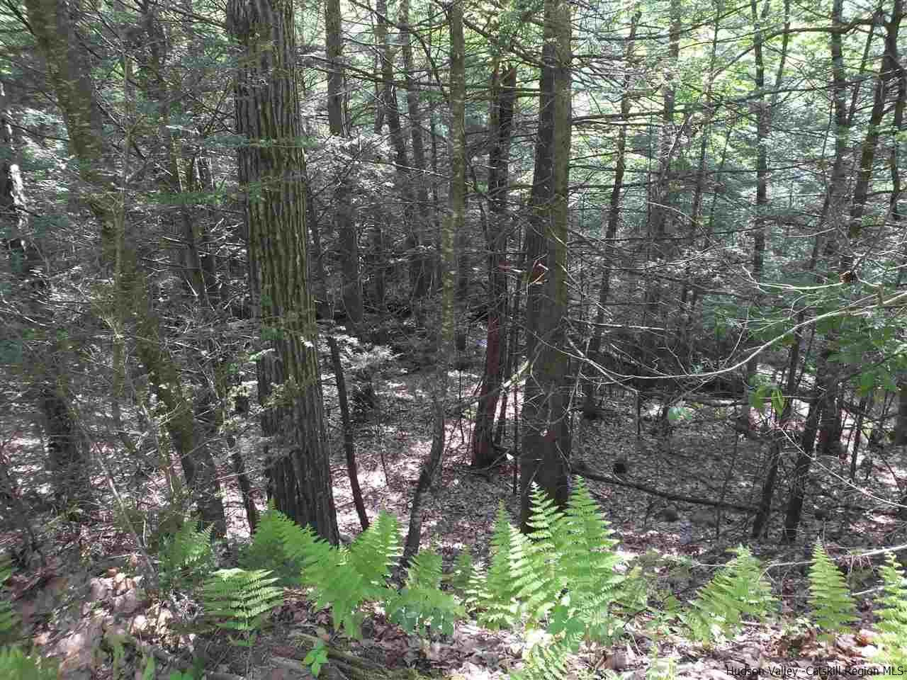490 Brown Road Olivebridge, NY 12461 - Photo 29 of 34 Photo 30