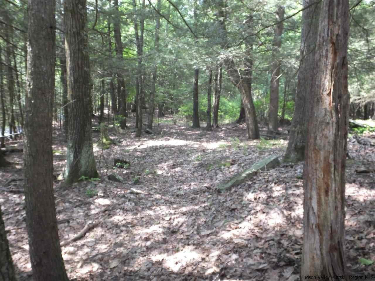 490 Brown Road Olivebridge, NY 12461 - Photo 30 of 34 Photo 31