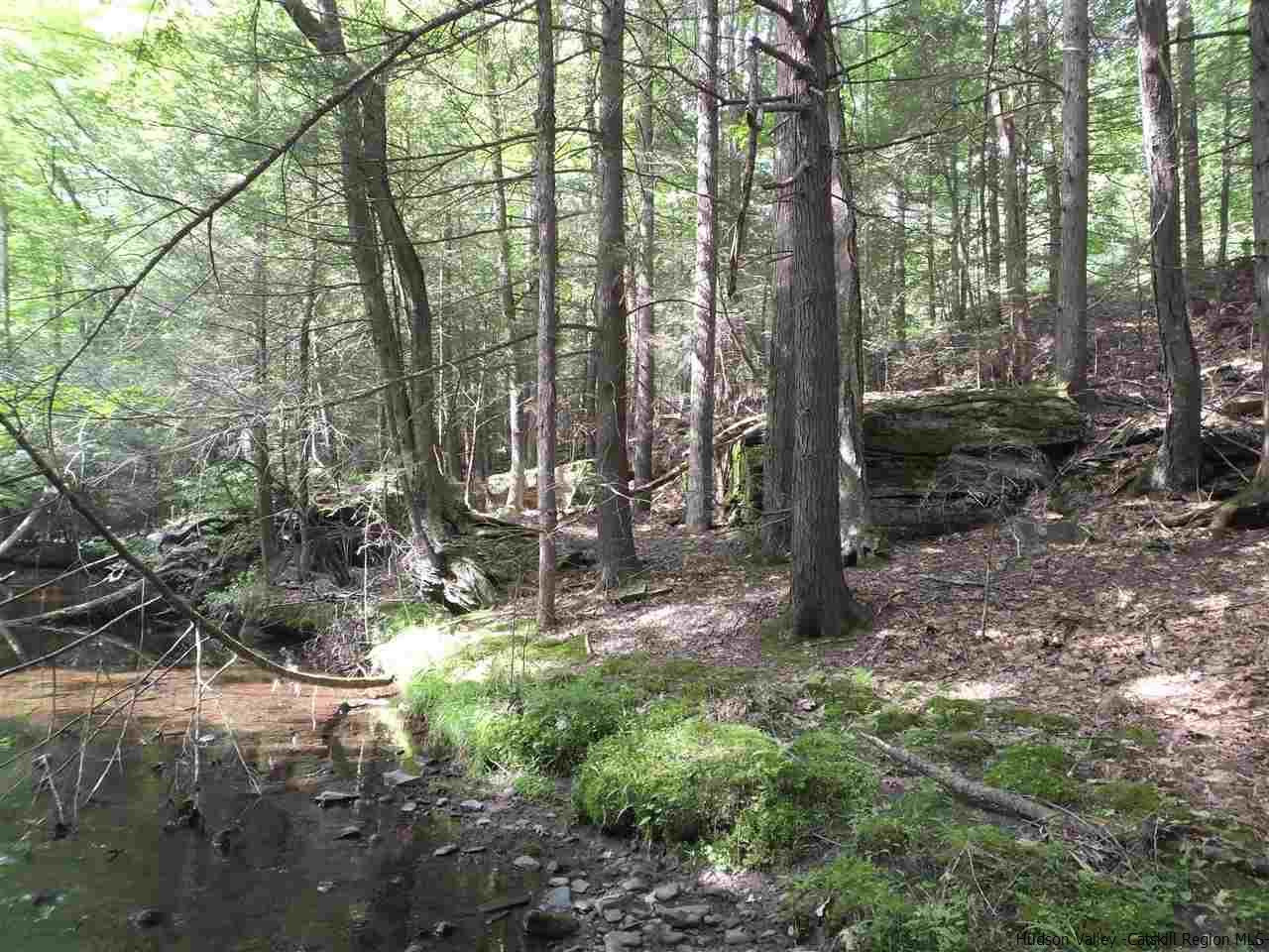 490 Brown Road Olivebridge, NY 12461 - Photo 31 of 34 Photo 32
