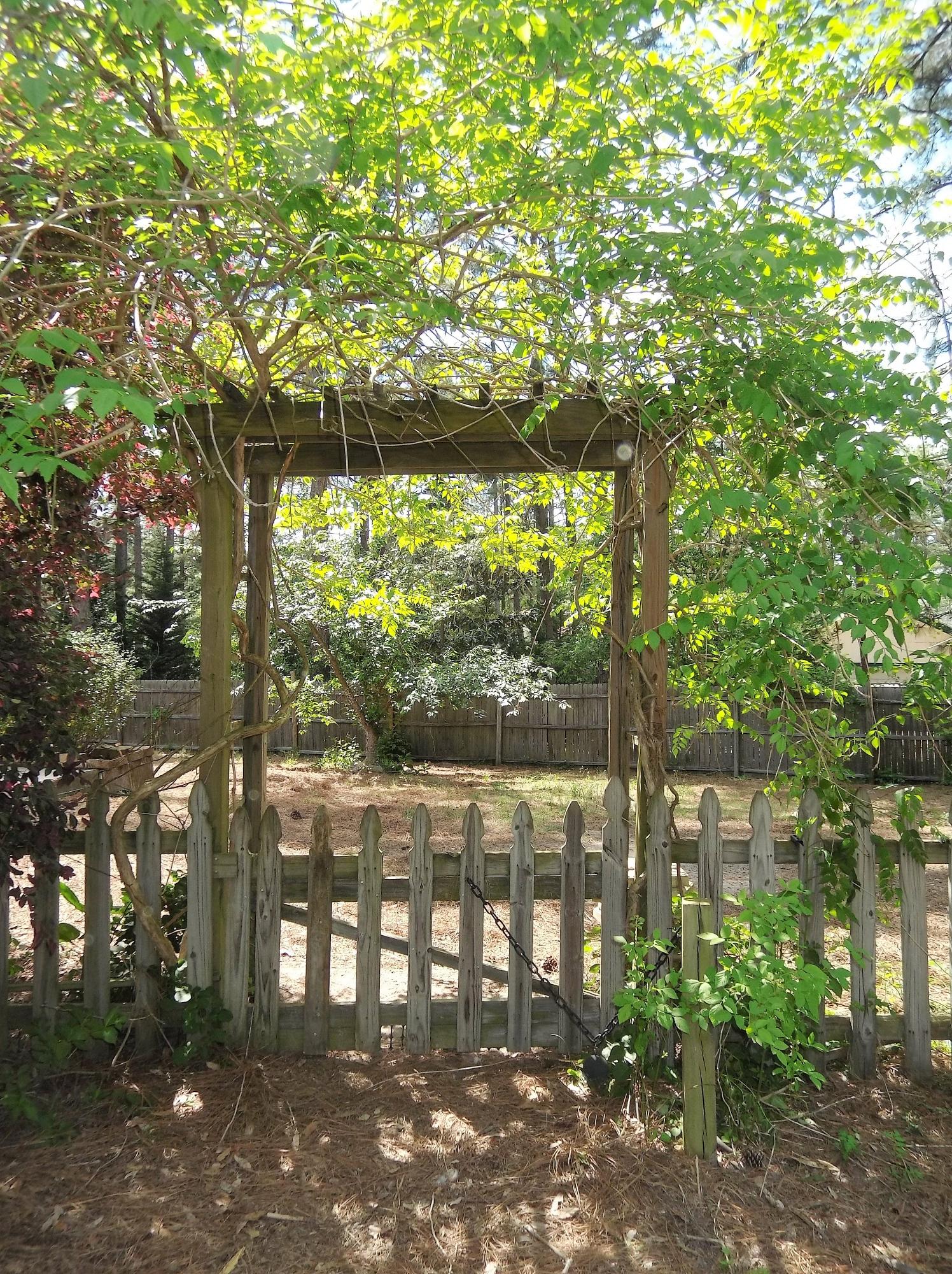 229 B Foxfire Road Aberdeen, NC 28315 - Photo 44 of 47 Beautiful climber on the arbor gate to the back yard. Green thumbs need apply!