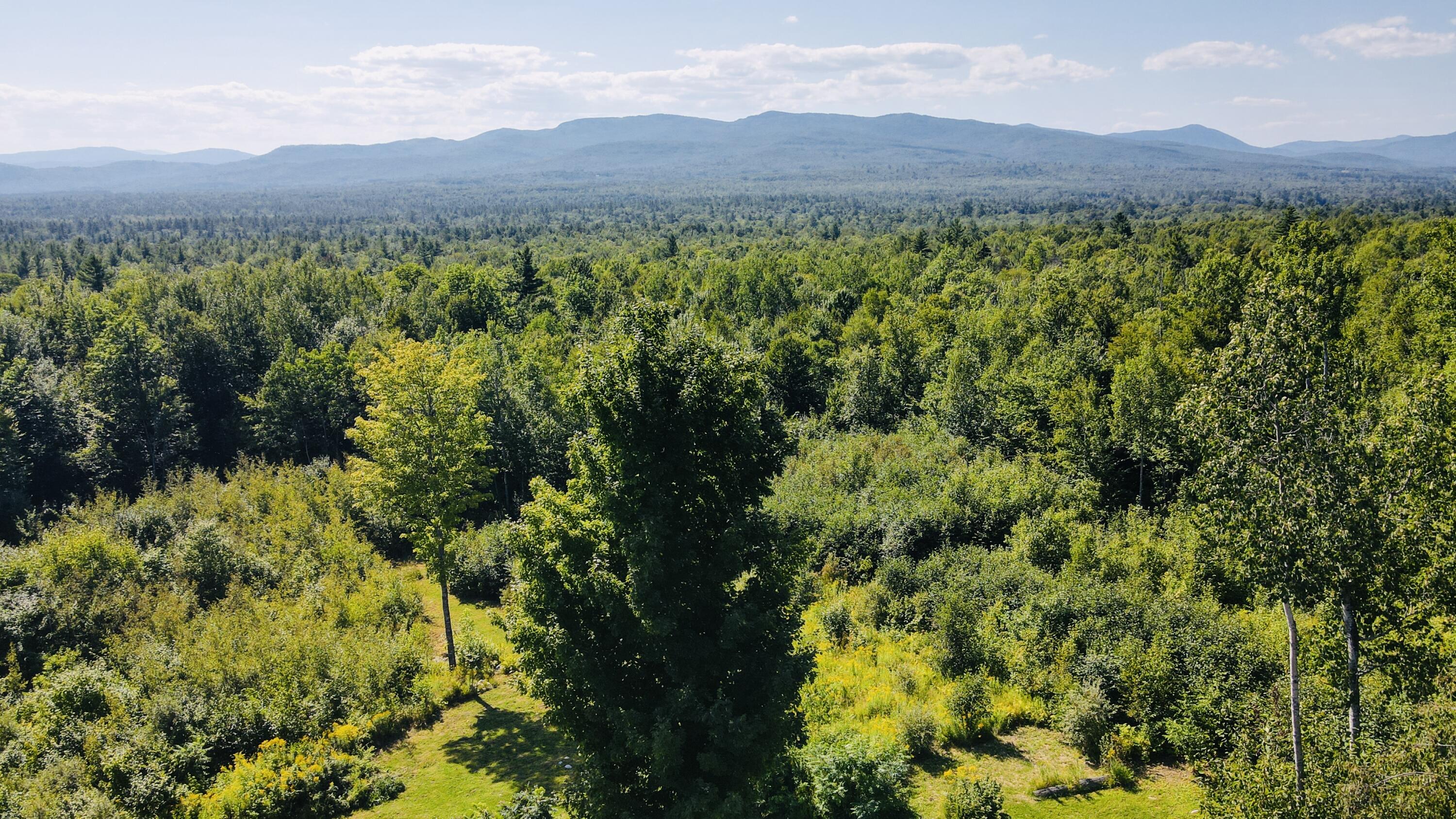 0 Green Acres Road Wilton, ME 04294 - Photo 63 of 80 dji_fly_20250816_151802_839_175537189561