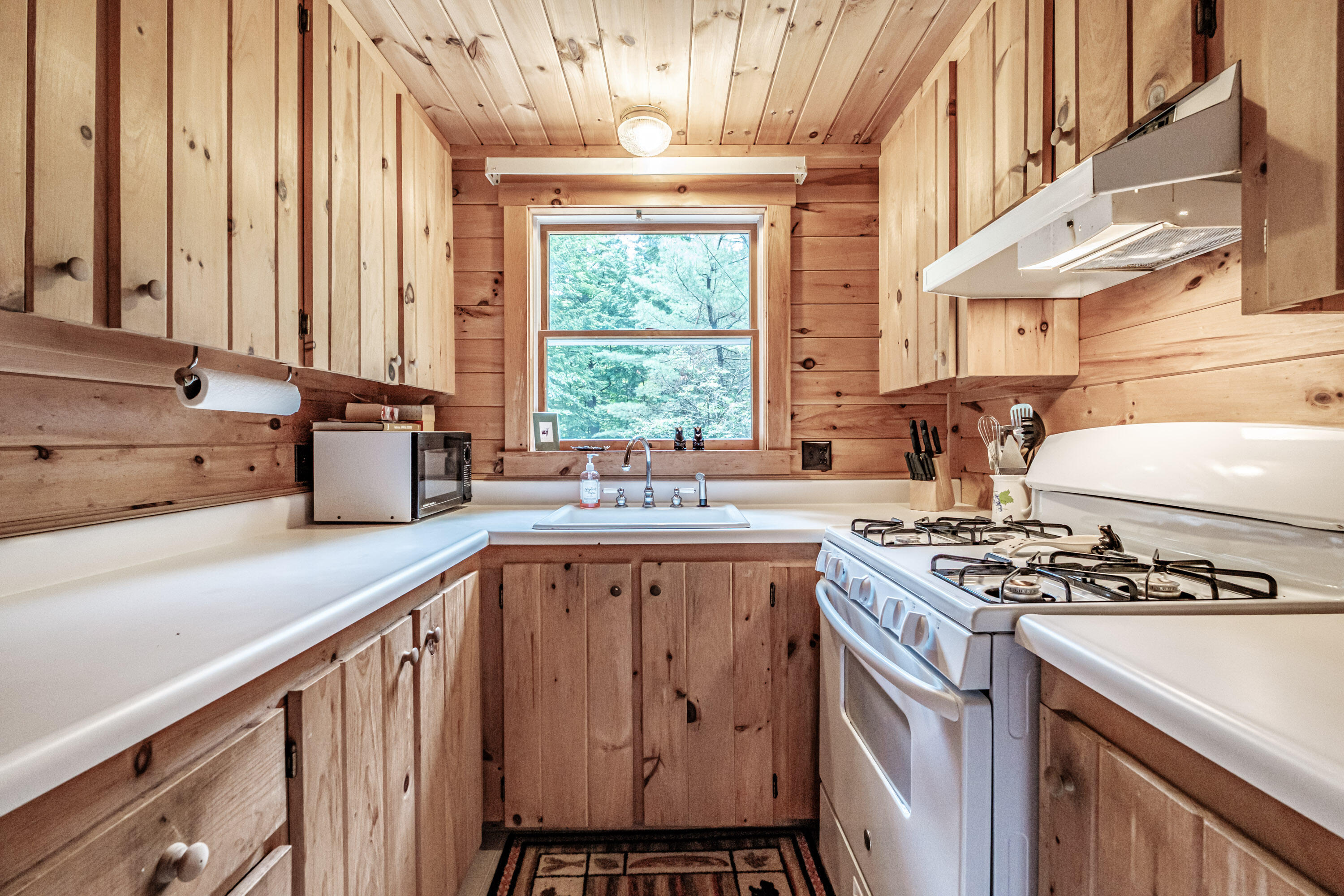 113 Colonial Circle Harrison, ME 04040 - Photo 10 of 52 20260623gp-60024