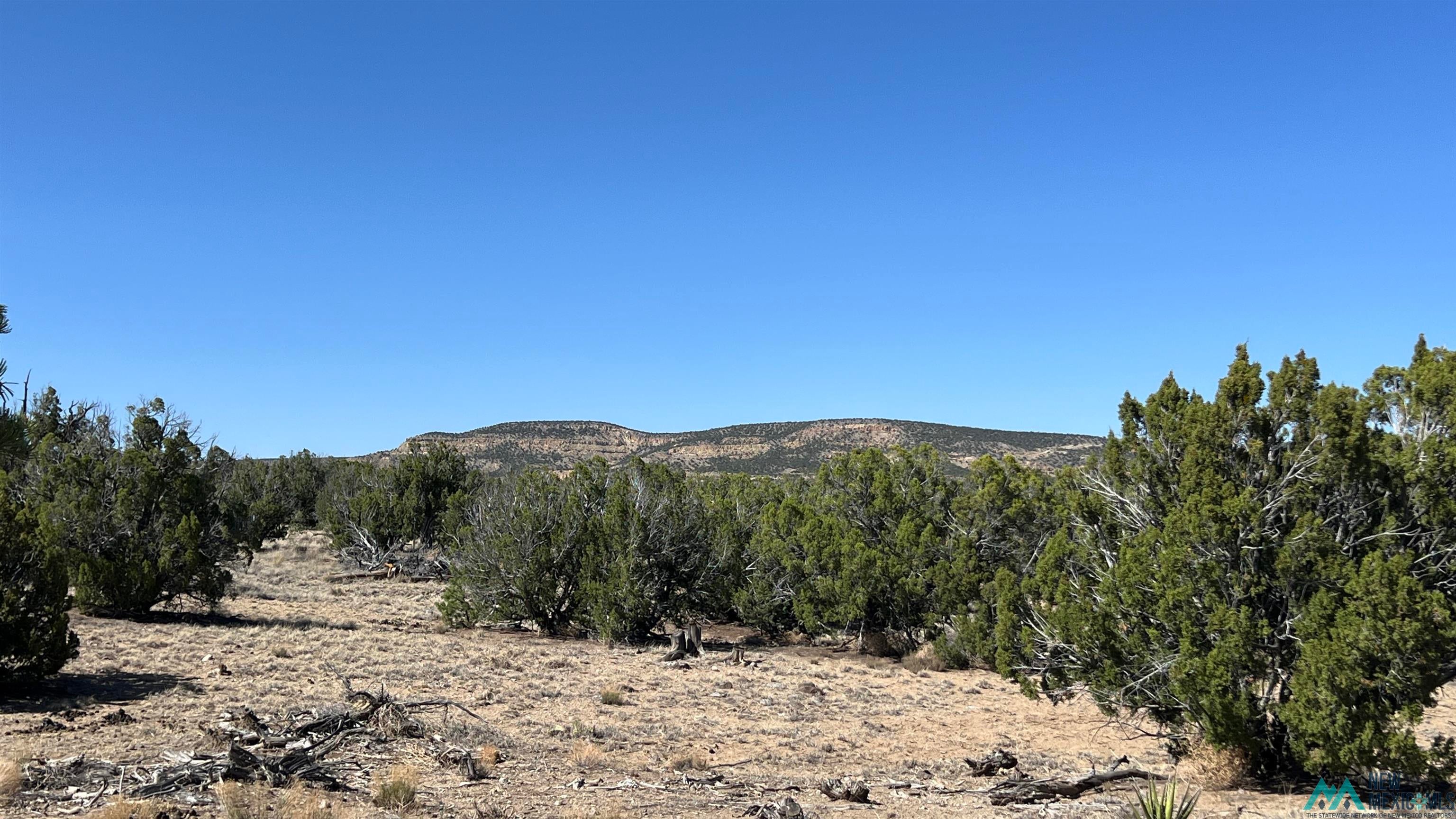 31 Henderson Road Quemado, NM 87829 - Photo 22 of 35