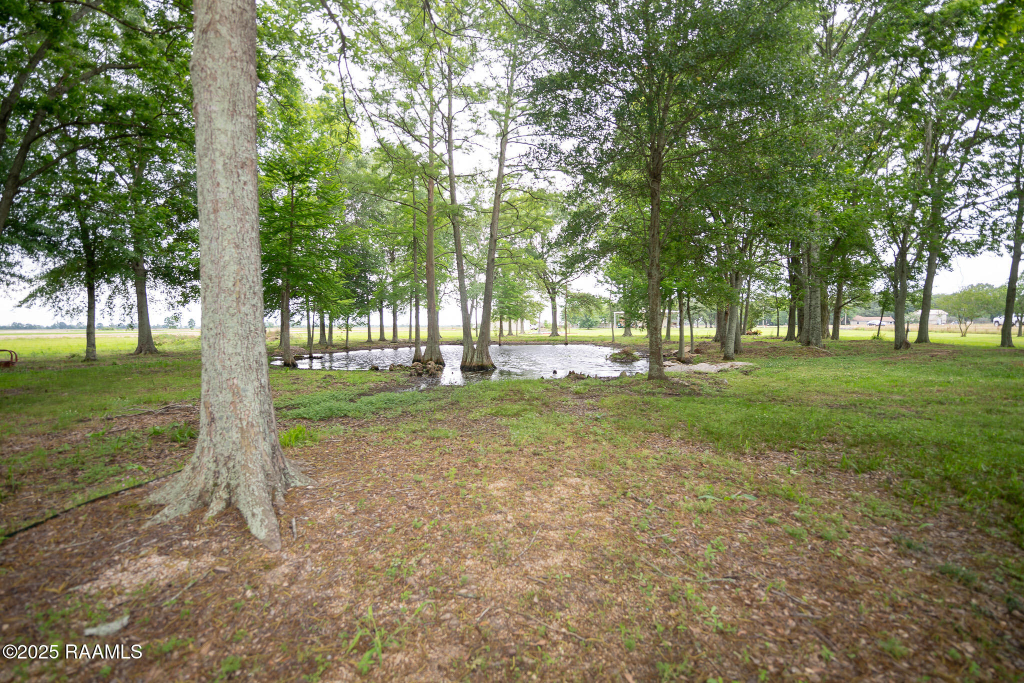 2405 South Chataignier Road Ville Platte, LA 70586 - Photo 33 of 37 BHP_9776