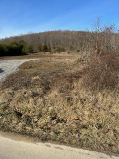 0 Rapp-Montgomery Road Lucasville, OH 45648 - Photo 10 of 11 Rapp Mont.